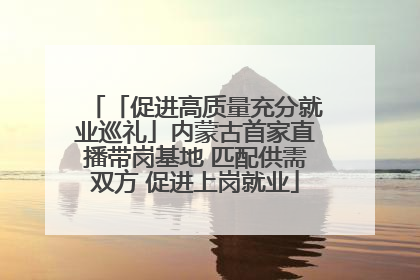 「促进高质量充分就业巡礼」内蒙古首家直播带岗基地 匹配供需双方 促进上岗就业