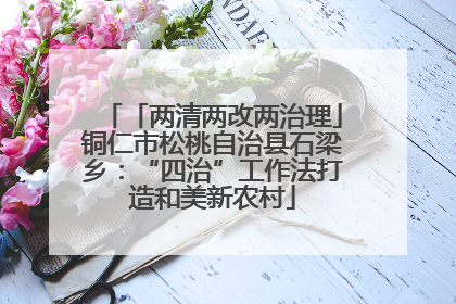 「两清两改两治理」铜仁市松桃自治县石梁乡：“四治”工作法打造和美新农村