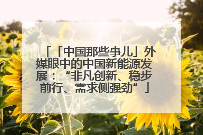 「中国那些事儿」外媒眼中的中国新能源发展：“非凡创新、稳步前行、需求侧强劲”