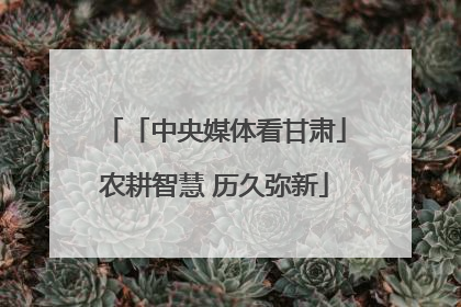 「中央媒体看甘肃」农耕智慧 历久弥新