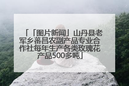 「图片新闻」山丹县老军乡蕃昌农副产品专业合作社每年生产各类玫瑰花产品500多吨