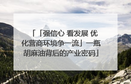 「强信心 看发展 优化营商环境争一流」一瓶胡麻油背后的产业密码