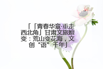 「青春华章·重走西北角」甘肃文旅嬗变：荒山变花海，文创“语”千年