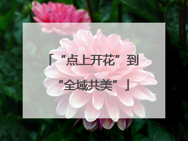 “点上开花”到“全域共美”