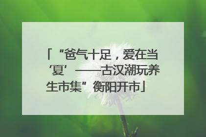 “爸气十足，爱在当‘夏’——古汉潮玩养生市集”衡阳开市