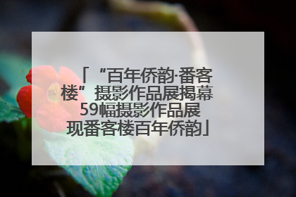 “百年侨韵·番客楼”摄影作品展揭幕 59幅摄影作品展现番客楼百年侨韵
