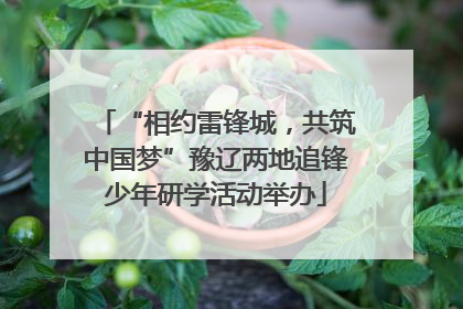“相约雷锋城，共筑中国梦”豫辽两地追锋少年研学活动举办
