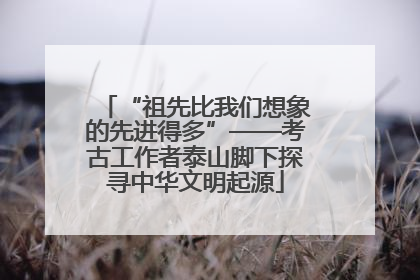 “祖先比我们想象的先进得多”——考古工作者泰山脚下探寻中华文明起源