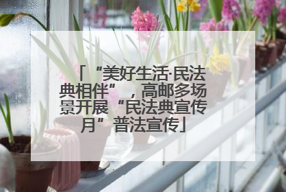 “美好生活·民法典相伴”，高邮多场景开展“民法典宣传月”普法宣传
