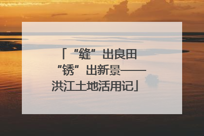 “缝”出良田 “锈”出新景——洪江土地活用记