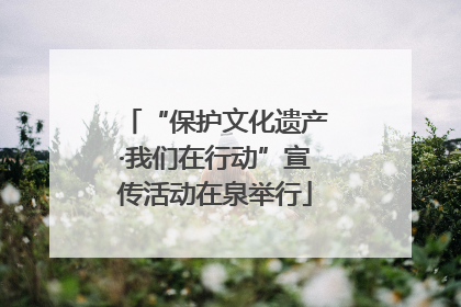 “保护文化遗产·我们在行动”宣传活动在泉举行