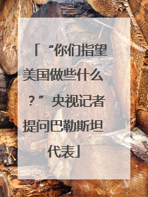 “你们指望美国做些什么？”央视记者提问巴勒斯坦代表