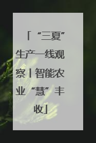 “三夏”生产一线观察丨智能农业“慧”丰收
