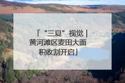 “三夏”视觉｜黄河滩区麦田大面积收割开启