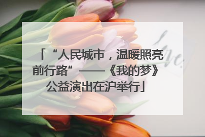 “人民城市，温暖照亮前行路”——《我的梦》公益演出在沪举行