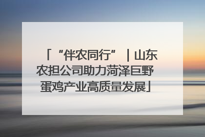 “伴农同行”｜山东农担公司助力菏泽巨野蛋鸡产业高质量发展