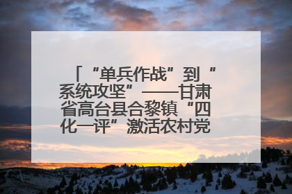 “单兵作战”到“系统攻坚”——甘肃省高台县合黎镇“四化一评”激活农村党员管理新引擎