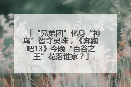 “兄弟团”化身“神鸟”智夺灵珠，《奔跑吧13》今晚“百谷之王”花落谁家？