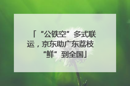 “公铁空”多式联运，京东助广东荔枝“鲜”到全国