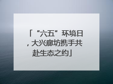 “六五”环境日，大兴廊坊携手共赴生态之约