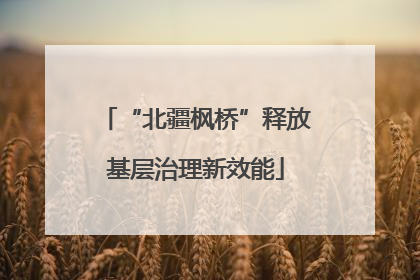 “北疆枫桥”释放基层治理新效能