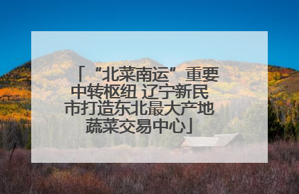 “北菜南运”重要中转枢纽 辽宁新民市打造东北最大产地蔬菜交易中心