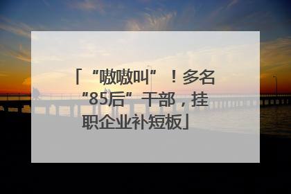 “嗷嗷叫”！多名“85后”干部，挂职企业补短板