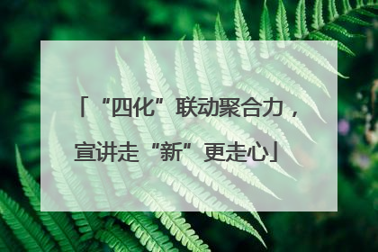 “四化”联动聚合力，宣讲走“新”更走心