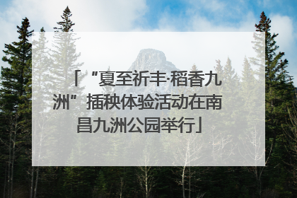 “夏至祈丰·稻香九洲”插秧体验活动在南昌九洲公园举行