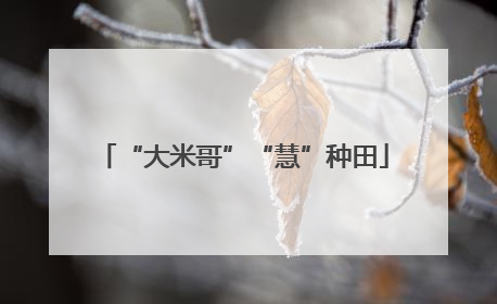 “大米哥”“慧”种田