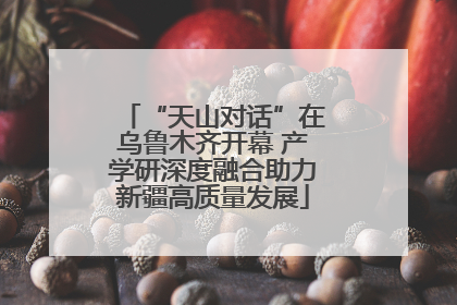 “天山对话”在乌鲁木齐开幕 产学研深度融合助力新疆高质量发展