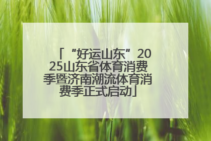 “好运山东”2025山东省体育消费季暨济南潮流体育消费季正式启动