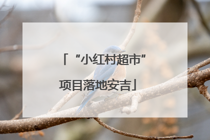 “小红村超市”项目落地安吉