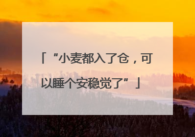 “小麦都入了仓，可以睡个安稳觉了”