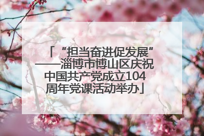 “担当奋进促发展”——淄博市博山区庆祝中国共产党成立104周年党课活动举办
