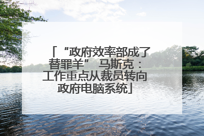 “政府效率部成了替罪羊” 马斯克：工作重点从裁员转向政府电脑系统
