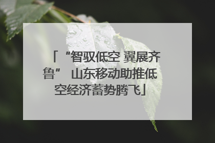 “智驭低空 翼展齐鲁” 山东移动助推低空经济蓄势腾飞