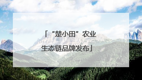 “楚小田”农业生态链品牌发布