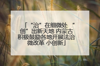 “治”在细微处 “创”出新天地 内蒙古积极鼓励各地开展法治微改革 小创新