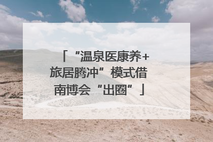 “温泉医康养+旅居腾冲”模式借南博会“出圈”