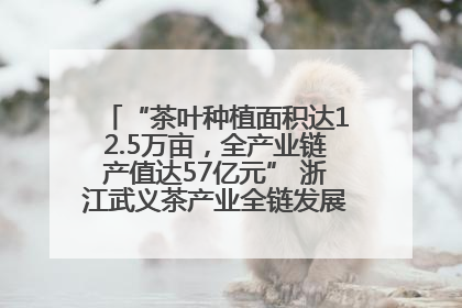 “茶叶种植面积达12.5万亩，全产业链产值达57亿元” 浙江武义茶产业全链发展“加速度”