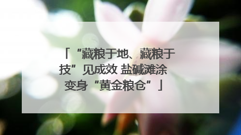 “藏粮于地、藏粮于技”见成效 盐碱滩涂变身“黄金粮仓”