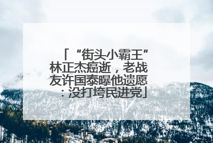 “街头小霸王”林正杰癌逝，老战友许国泰曝他遗愿：没打垮民进党