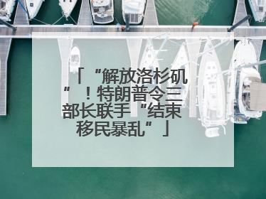 “解放洛杉矶”！特朗普令三部长联手“结束移民暴乱”