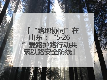 “路地协同”在山东：“5·26”爱路护路行动共筑铁路安全防线