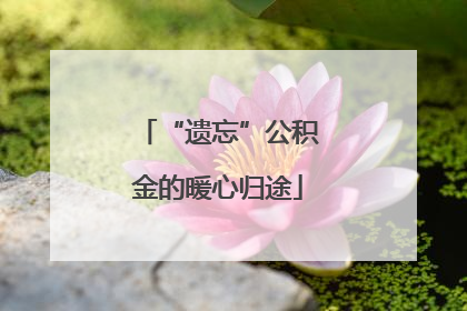 “遗忘”公积金的暖心归途