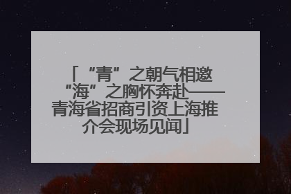 “青”之朝气相邀 “海”之胸怀奔赴——青海省招商引资上海推介会现场见闻