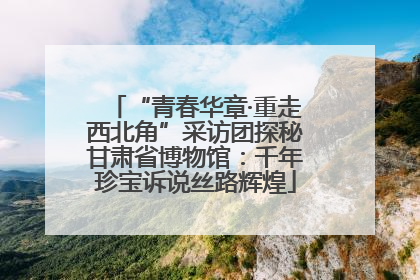 “青春华章·重走西北角”采访团探秘甘肃省博物馆：千年珍宝诉说丝路辉煌