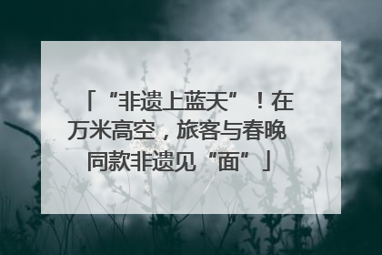 “非遗上蓝天”！在万米高空，旅客与春晚同款非遗见“面”