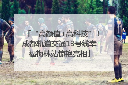 “高颜值+高科技”！成都轨道交通13号线幸福梅林站惊艳亮相
